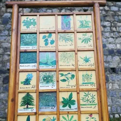 Ayubia National Park - Abbottabad