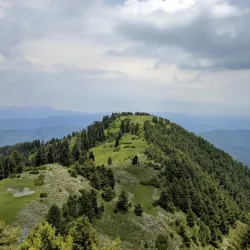 Ayubia National Park - Abbottabad