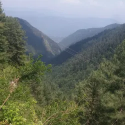Ayubia National Park - Abbottabad