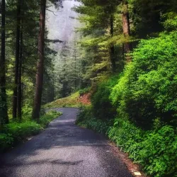 Thandiani - Abbottabad