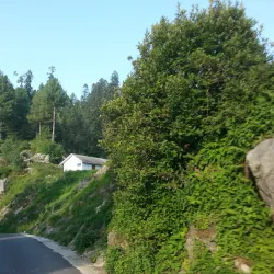 Thandiani - Abbottabad