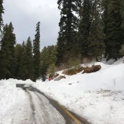 Thandiani - Abbottabad