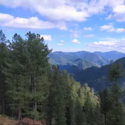 Thandiani - Abbottabad