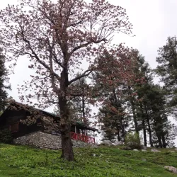 Thandiani - Abbottabad