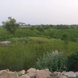 Indus River - Attock