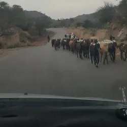 Kala Chitta Range - Attock