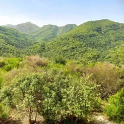 Kala Chitta Range - Attock