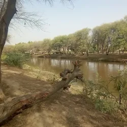 Cholistan Desert - Bahawalnagar