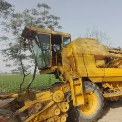 Nearby Rural Villages - Burewala