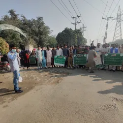 Vehari District Agricultural Fields - Burewala