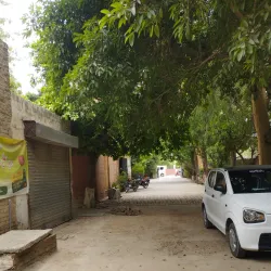 Vehari District Agricultural Fields - Burewala