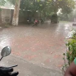 Vehari District Agricultural Fields - Burewala