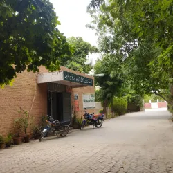 Vehari District Agricultural Fields - Burewala