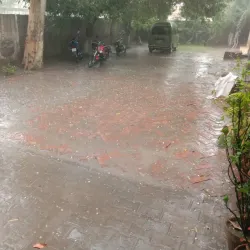 Vehari District Agricultural Fields - Burewala