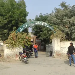 Vehari District Agricultural Fields - Burewala