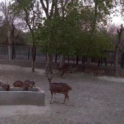 Vehari District Museum (near Burewala) - Burewala