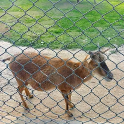 Vehari District Museum (near Burewala) - Burewala