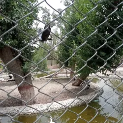 Vehari District Museum (near Burewala) - Burewala