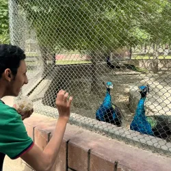 Vehari District Museum (near Burewala) - Burewala