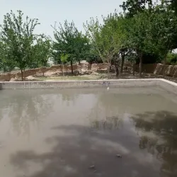 Religious and Cultural Festivals - Chaman