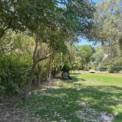 Hussainabad Park - Chiniot