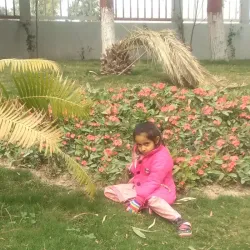 Hussainabad Park - Chiniot