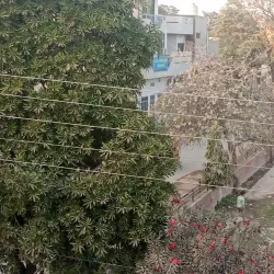 Iqbal Park - Chiniot