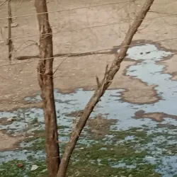 Iqbal Park - Chiniot