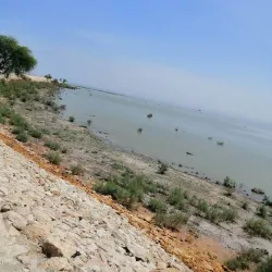 Manchar Lake - Dadu (Dādu)