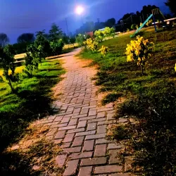 Local Parks - Daska