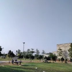 Local Parks - Daska