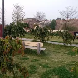 Local Parks - Daska