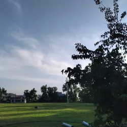 Sports Grounds - Daska