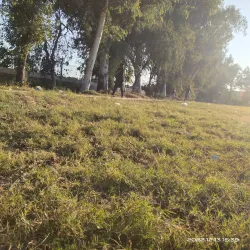 Sports Grounds - Daska