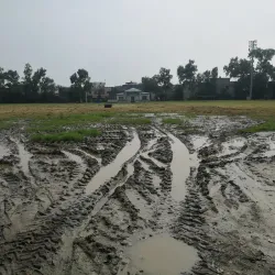 Sports Grounds - Daska