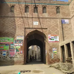 Historic Havelis of Depalpur - Depalpur