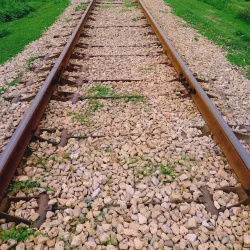 Dinga Bazaar - Dinga