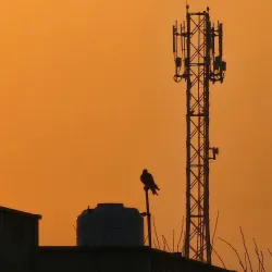 Gujrat District Historical Sites - Dinga