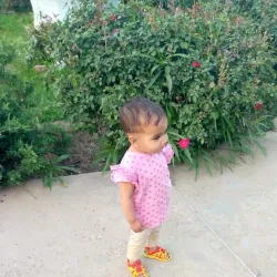 Nearby Natural Parks and Green Spaces - Dinga