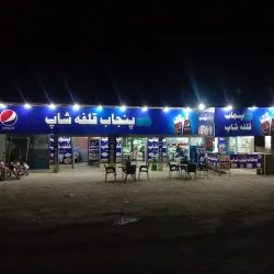 Traditional Punjabi Cuisine - Dinga