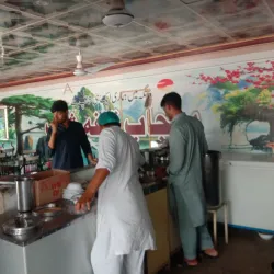 Traditional Punjabi Cuisine - Dinga