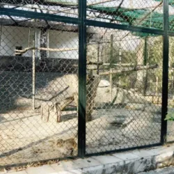 Gatwala Wildlife Park - Faisalabad