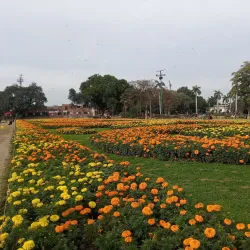 Jinnah Stadium Faisalabad - Faisalabad