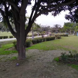 Jinnah Stadium Faisalabad - Faisalabad