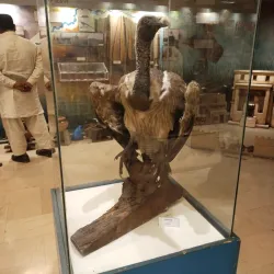 Lyallpur Museum - Faisalabad