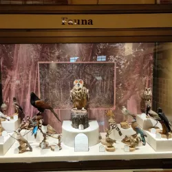 Lyallpur Museum - Faisalabad