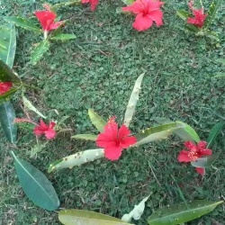 Gilgit Bazaar - Gilgit