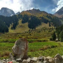 Naltar Ski Resort - Gilgit