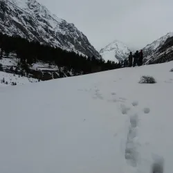 Naltar Ski Resort - Gilgit