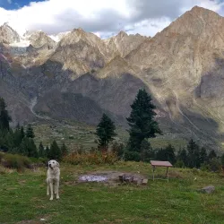 Naltar Ski Resort - Gilgit